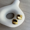 Pendientes Vida